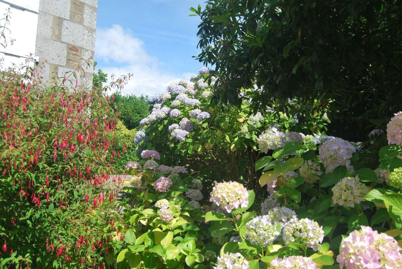 B&B Le Mesnil Saint-Senier-sous-Avranches エクステリア 写真